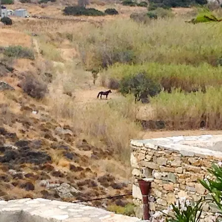 Affittacamere Loukoum Syros Cyclades Rozia
